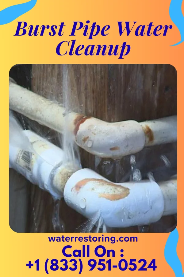 Burst Pipe Water Cleanup in Marseilles, OH