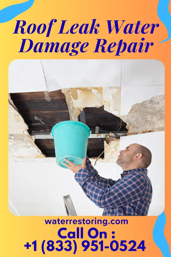 Roof Leak Water Damage Repair in Marseilles, OH