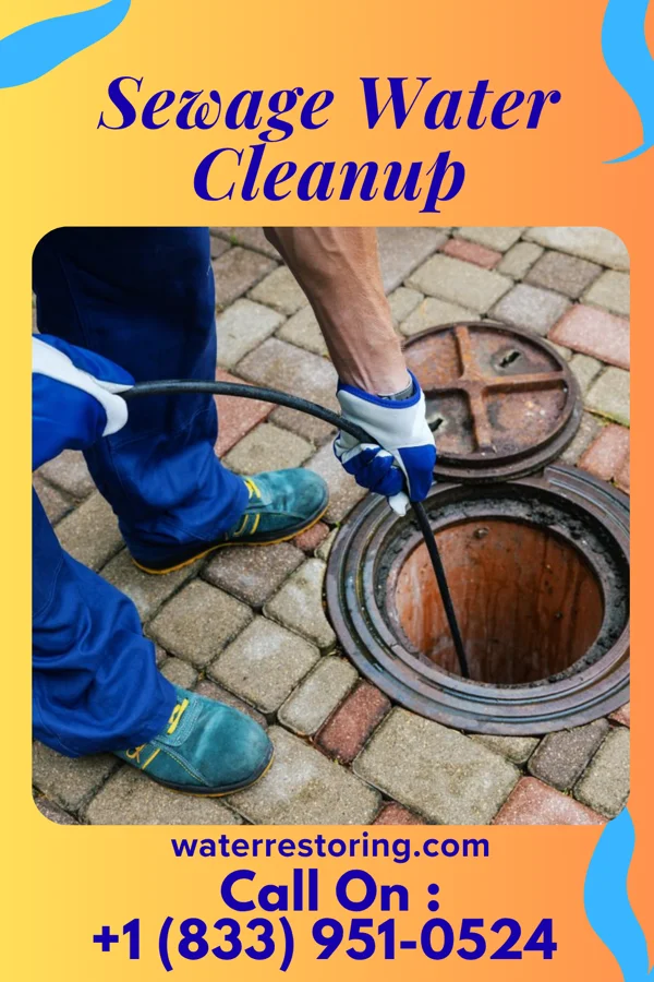 Sewage Water Cleanup in Marseilles, OH