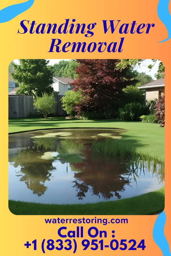 Standing Water Removal in Marseilles, OH